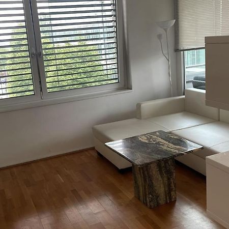 Linz Donau Ufer Stadt Mitte 외부 사진